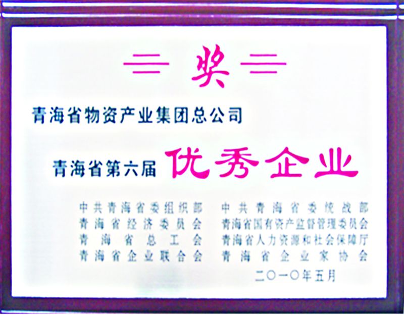 青海省第六屆優(yōu)秀企業(yè)